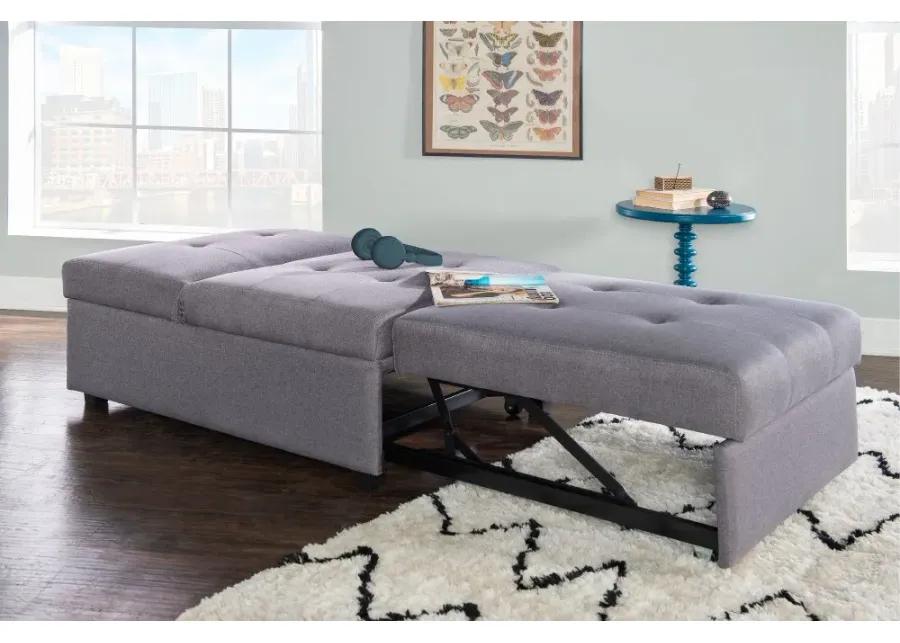 Dozer Gray Sofa Bed