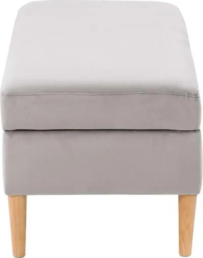 Perry Light Gray Velvet Storage Ottoman