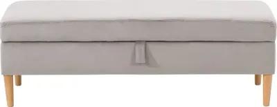 Perry Light Gray Velvet Storage Ottoman