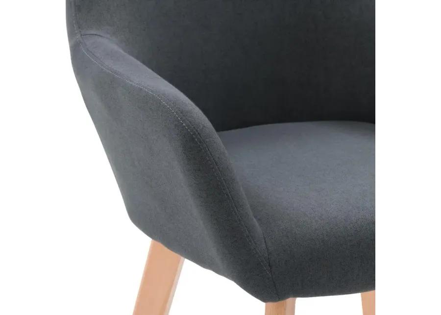 Ayla Dark Gray Upholstered Side Chair, Set of 2