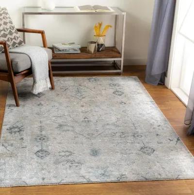 Brunswick 8 x 10 Beige and Dusty Sage Area Rug