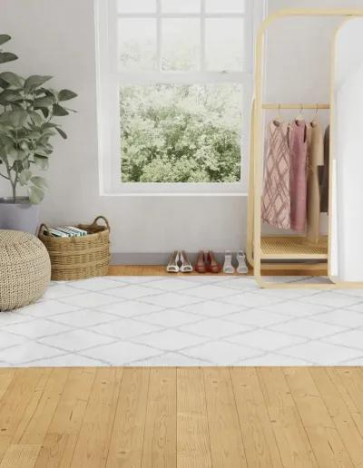 Faris White and Gray 5 x 8 Area Rug