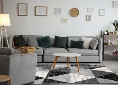 Century Black, White & Gray 5 x 8 Geometric Area Rug