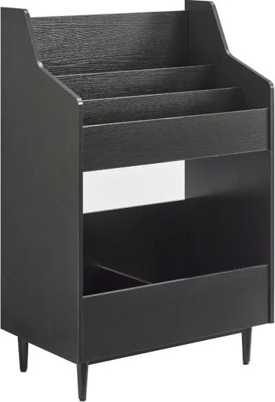 Liam Black Record Storage Stand