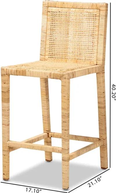 Sofia Natural Wood and Rattan Counter Stool