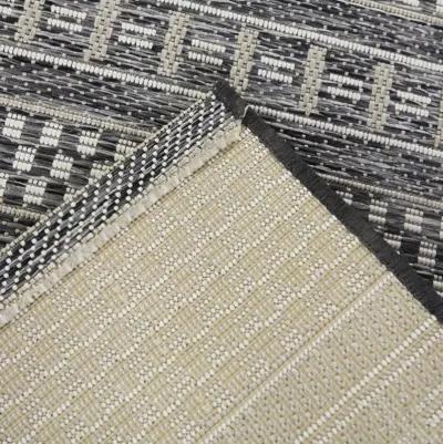 Cohen 8 x 10 Charcoal Transitional Outdoor Patio Rug