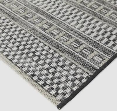 Cohen 8 x 10 Charcoal Transitional Outdoor Patio Rug