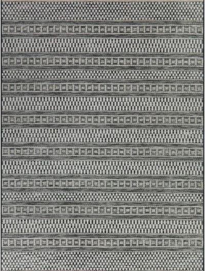 Cohen 8 x 10 Charcoal Transitional Outdoor Patio Rug