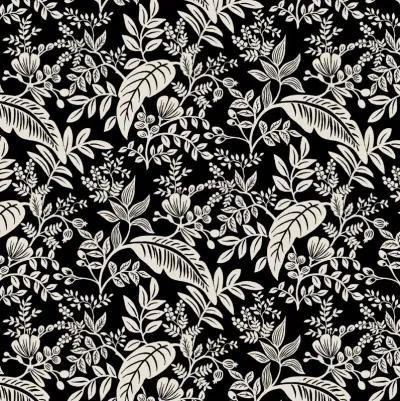 Rifle Paper Co. Edes Canopy Black & Cream Screen