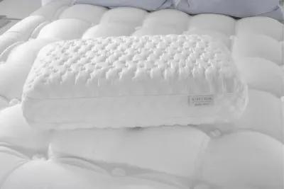 Aireloom Nimbus Visco High-Profile Queen Size Pillow