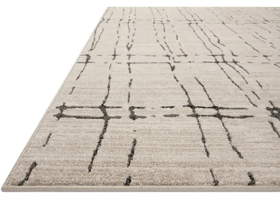 Darby 5 x 8 Sand Dark Gray Area Rug