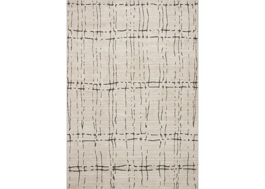 Darby 8 x 10 Sand Dark Gray Area Rug