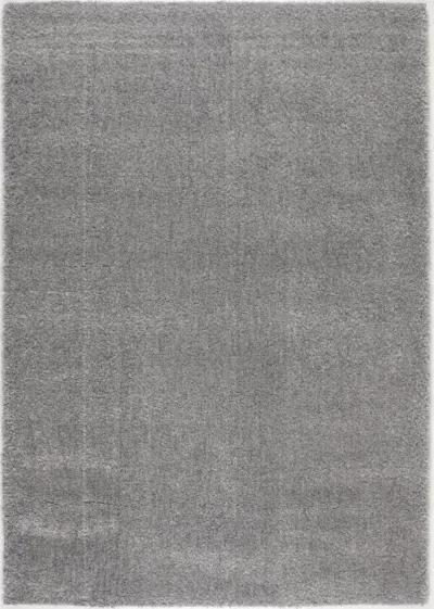 Anakara 5 x 7 Fluffy Gray Area Rug