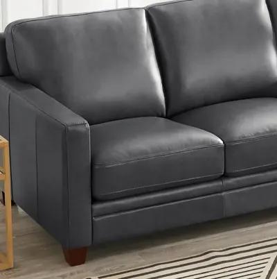 Como Chico Steel Gray Leather Sofa