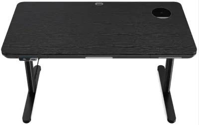 ErgoFx Adjustable Height Standing Desk With Black Desktop