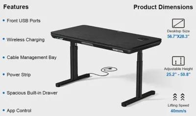 ErgoFx Adjustable Height Standing Desk With Black Desktop