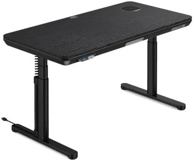 ErgoFx Adjustable Height Standing Desk With Black Desktop