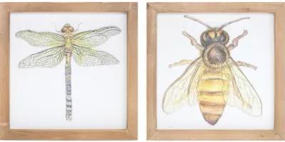 Assorted Insect Framed Plaque