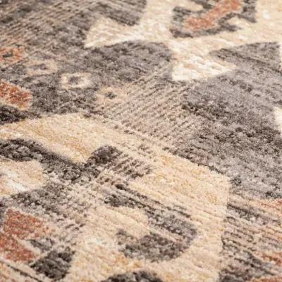 Odessa 5 x 8 Canyon Rust Area Rug