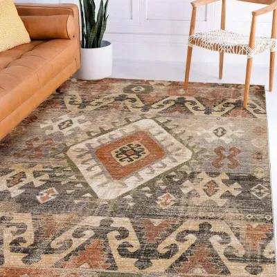 Odessa 5 x 8 Canyon Rust Area Rug