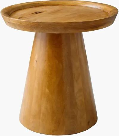 Amira Mango Wood End Table