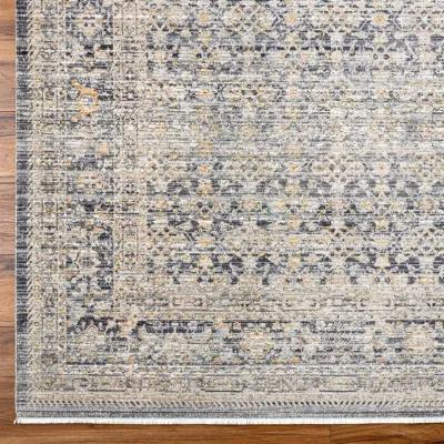 Margaret 8 x 10 Blue Area Rug