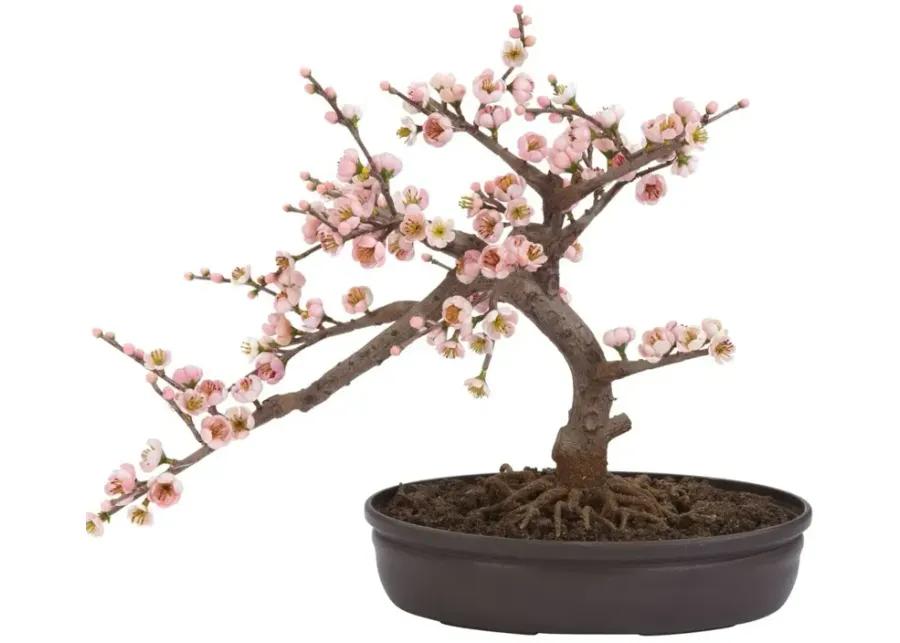 Cherry Blossom Bonsai Artificial Tree in Pink by Bellanest