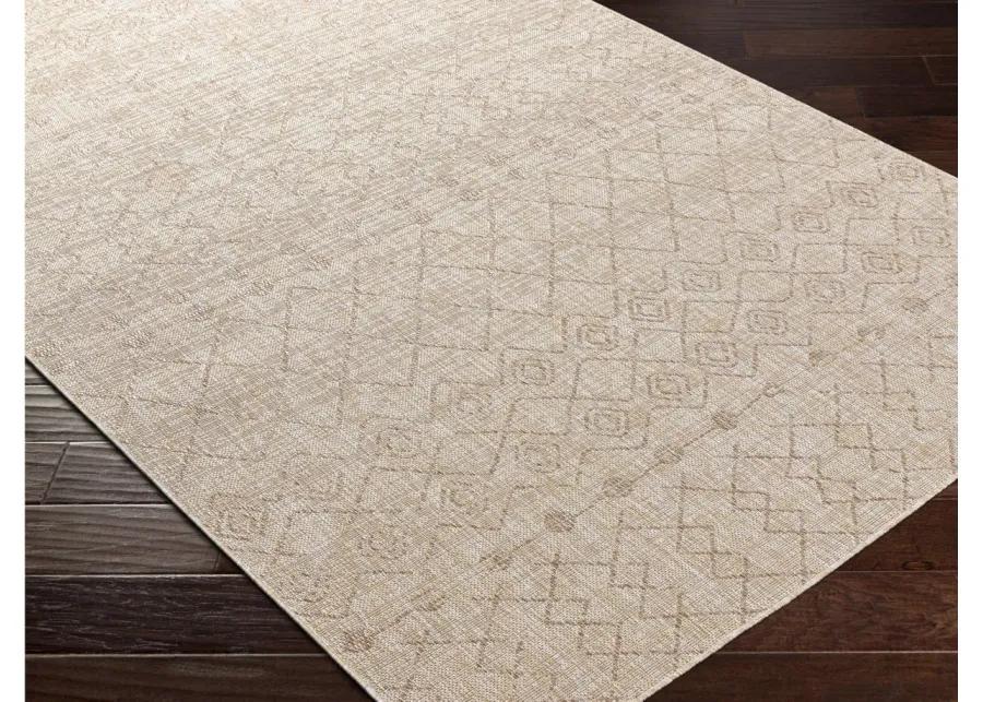 Tuareg Area Rug in Brown, Tan, Cream by Surya