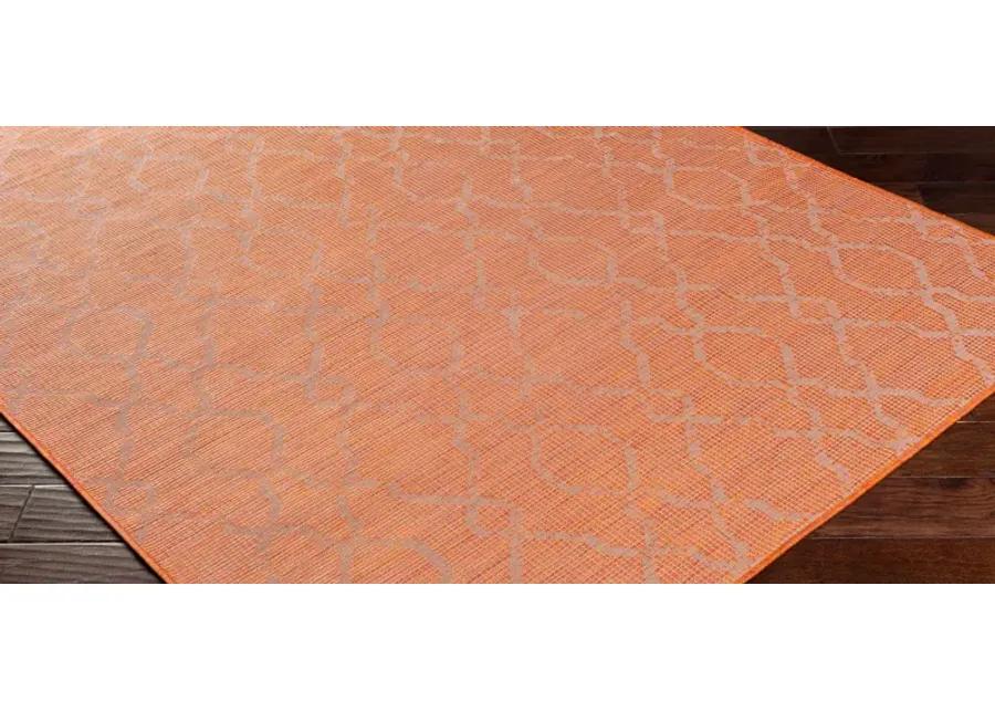 Pasadena Sage Indoor/Outdoor Area Rug in Burnt Orange by Surya