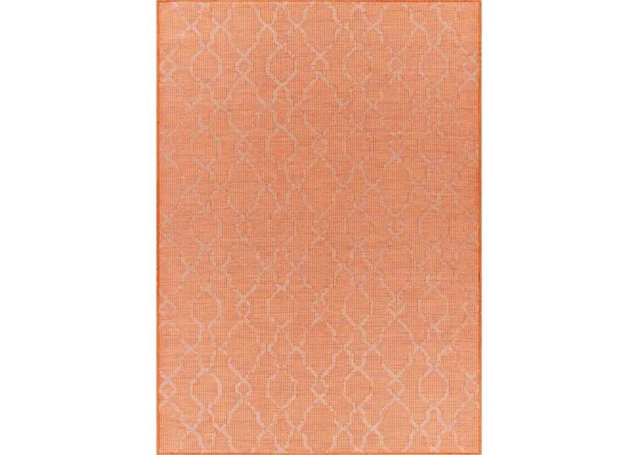 Pasadena Sage Indoor/Outdoor Area Rug in Burnt Orange by Surya