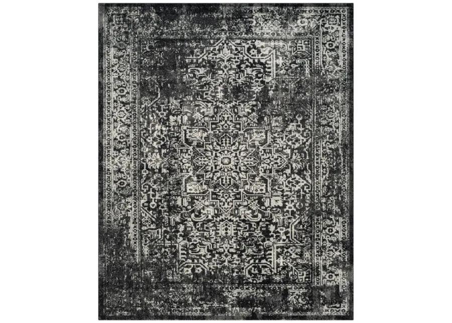 Evoke Area Rug in Black/Gray by Safavieh