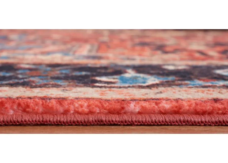 Rasmin Area Rug in Red/Blue by Safavieh