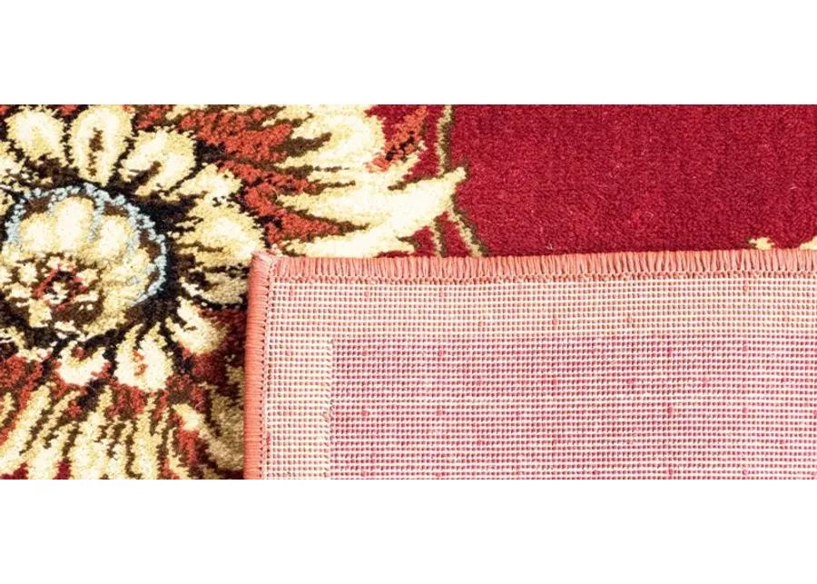 Abernethy Area Rug in Red / Multi by Safavieh