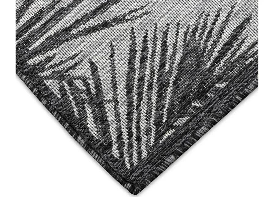 Carmel Fronds Rug in Black by Trans-Ocean Import Co Inc