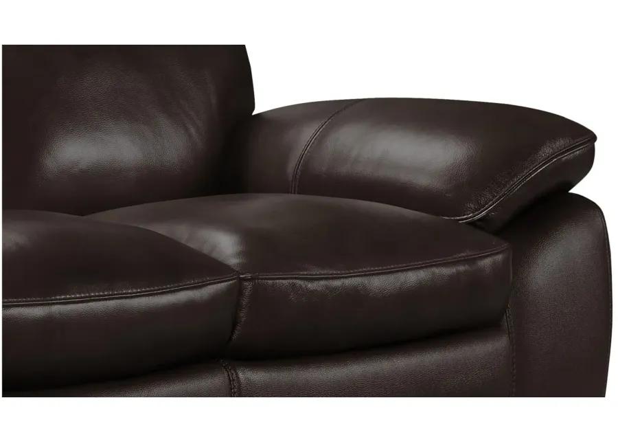 Bruno Sofa in Dark Brown by Armen Living