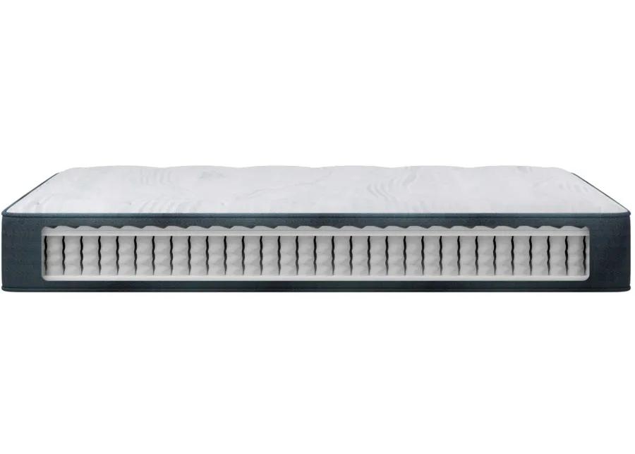 Beautyrest Harmony Seapearl Dreams Medium Mattress