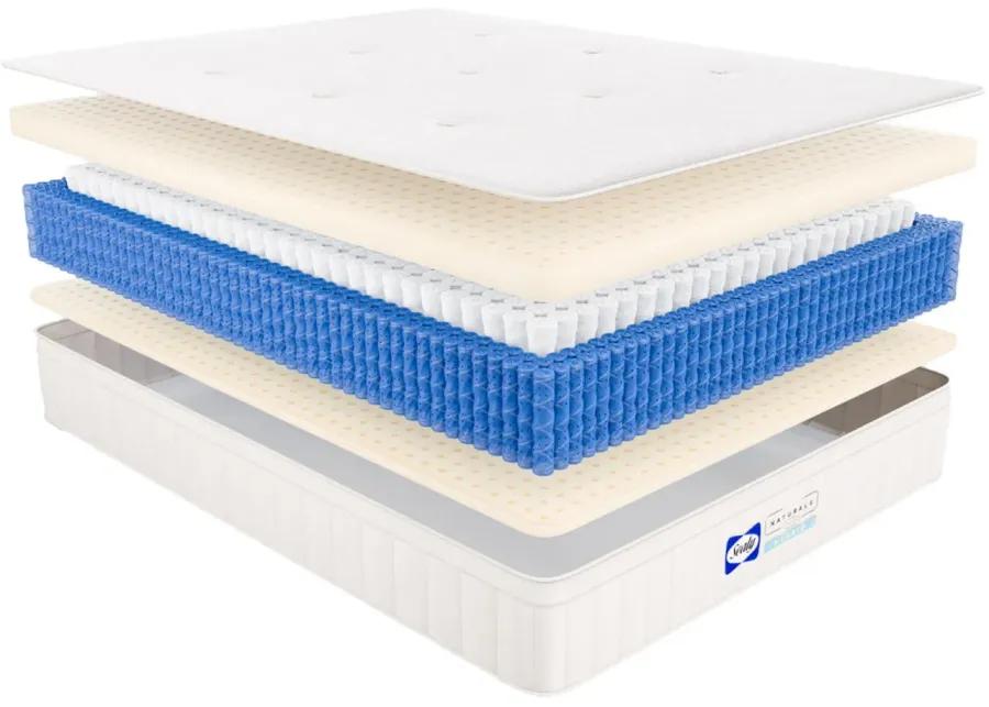 Sealy Naturals Firm Hybrid Mattress - Split Cal King Set Mattress