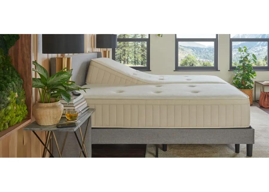 Sealy Naturals Firm Hybrid Mattress - Split Cal King Set Mattress