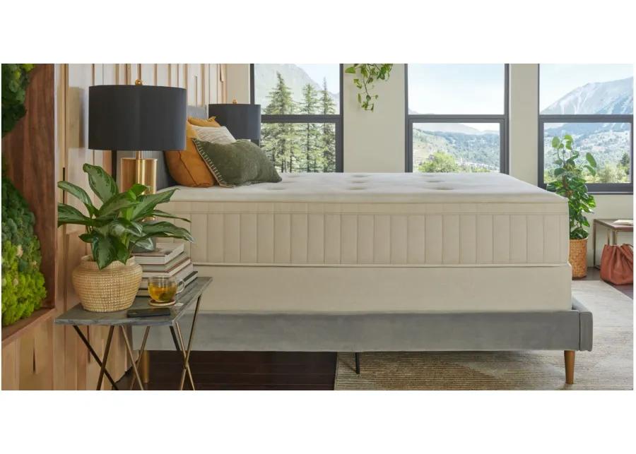 Sealy Naturals Medium Hybrid Mattress