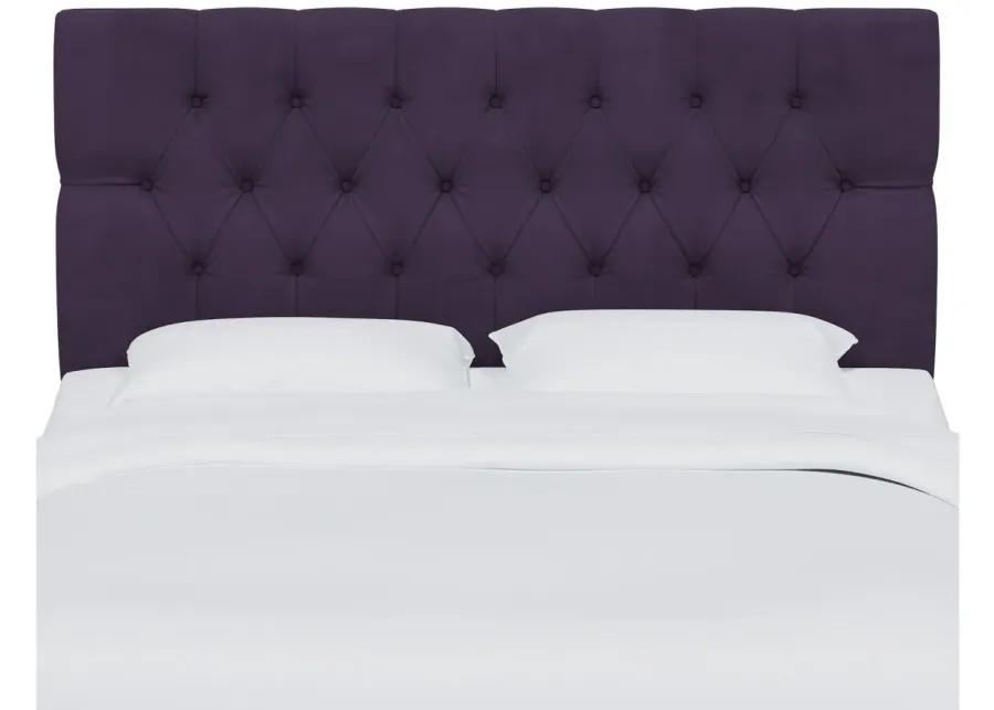 Blanchard Headboard in Velvet Aubergine by Skyline