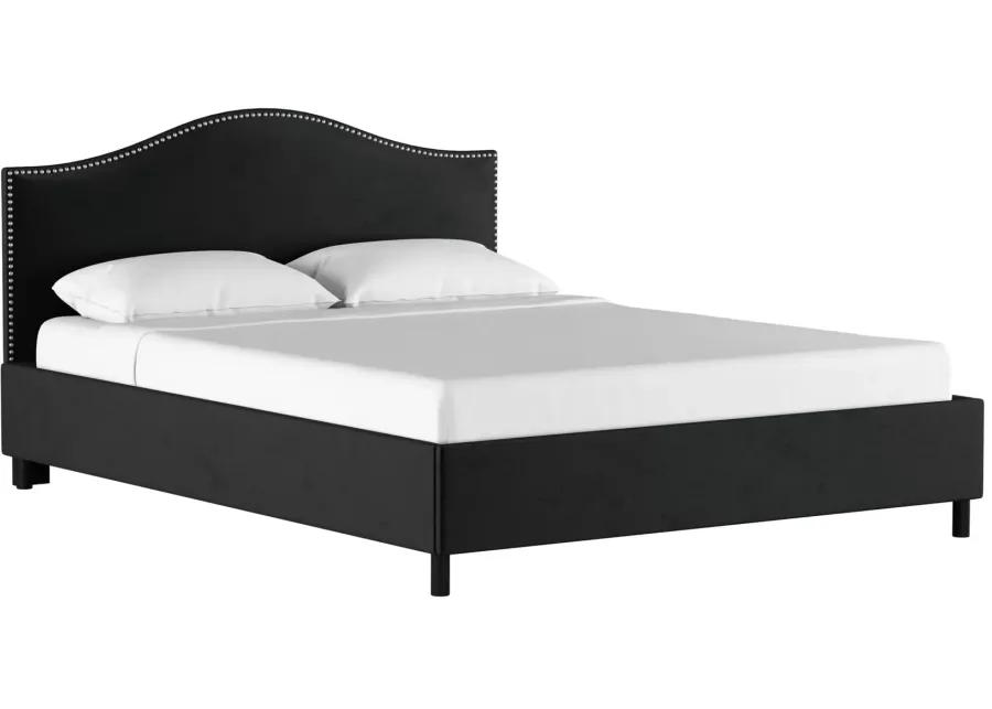 Alexander Platform Bed in Velvet Black by Skyline