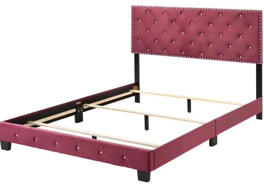 Suffolk Upholstered Panel Bed in Burgundy by Glory Furniture