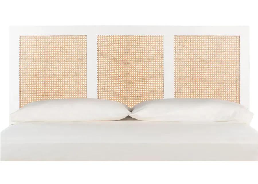 Vienna Cane Mounted Headboard in White Wash by Safavieh