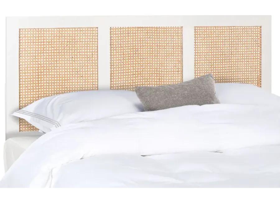 Vienna Cane Mounted Headboard in White Wash by Safavieh