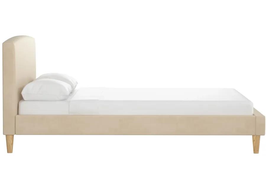 Drita Platform Bed in Velvet Pearl by Skyline