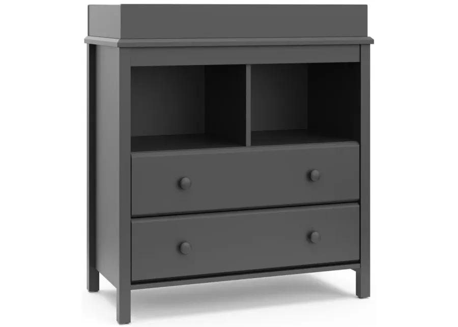 Alpine 2-Drawer Changing Chest in Gray by Bellanest