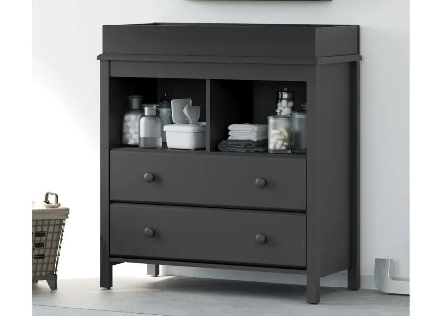 Alpine 2-Drawer Changing Chest in Gray by Bellanest