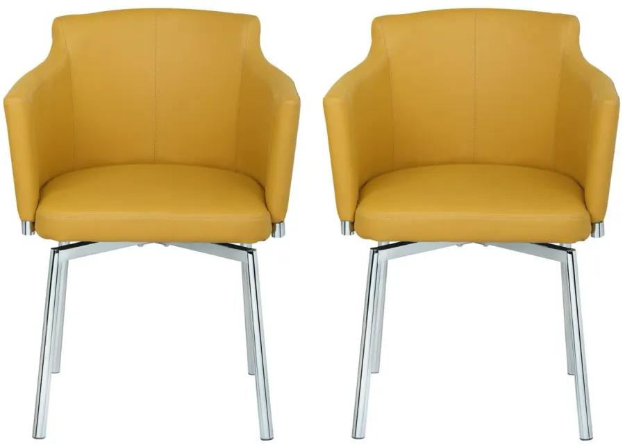 Dusty Dining Chair - Set of 2 in Yellow by Chintaly Imports