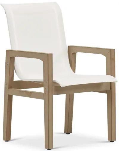 Santa Rosa Arm Chair