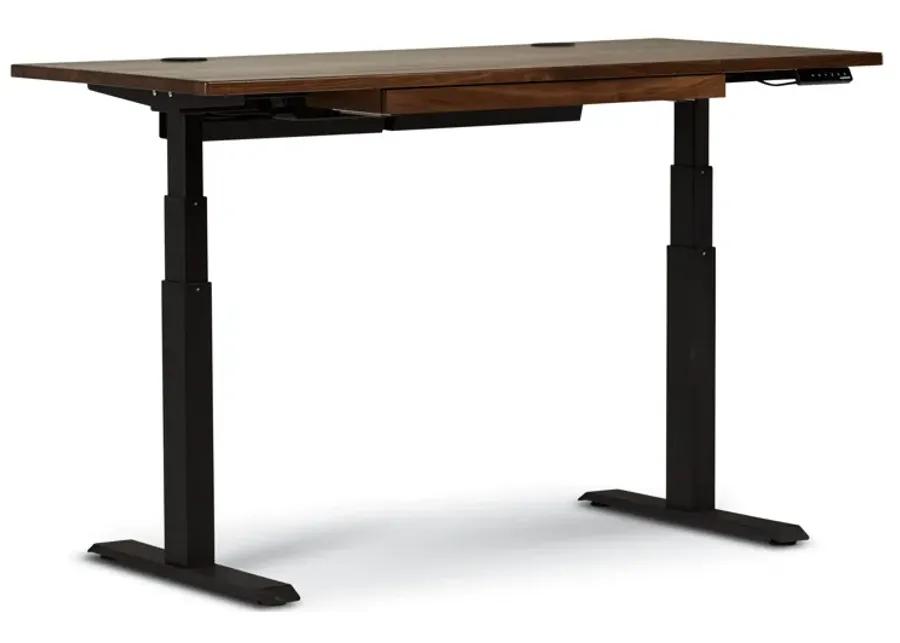 Intel Sit-Stand Adjustable Height Desk